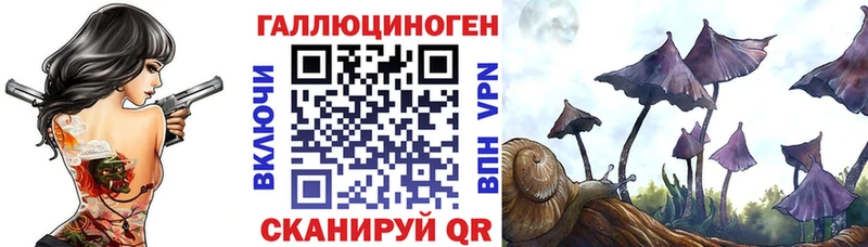 Галлюциногенные грибы прущие грибы  купить  цена  Курганинск 