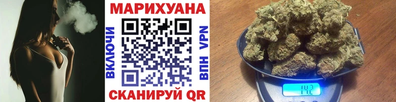 Бошки Шишки сатива Курганинск
